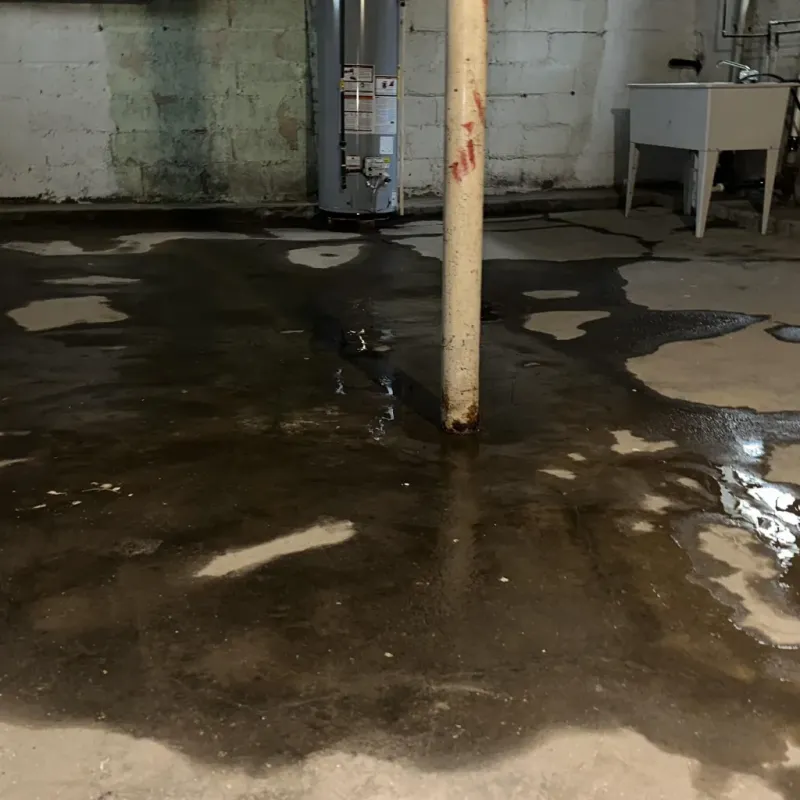 Emergency Water Extraction And Removal in Inverness, FL